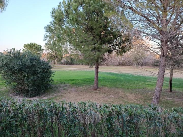 Met&Golf Oliva Nova Beach Jardin Exterior foto